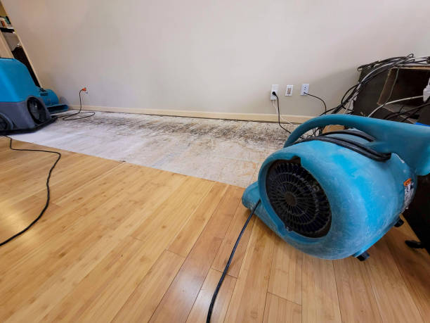 Professional Burst Pipe Water Damage technician working in Twilight, WV